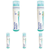 Boiron Mercurius solubilis (solubilis) 6ch,Homeopathic medicine. Each tube contains 4 g (approximately 80 pellets) (Pack of 5)