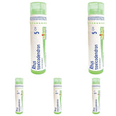 Boiron Rhus toxicodendron 5ch,Homeopathic medicine. Each tube contains 4 g (approximately 80 pellets) (Pack of 5)