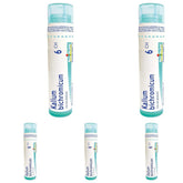 Boiron Kalium bichromicum 6ch,Homeopathic medicine. Each tube contains 4 g (approximately 80 pellets) (Pack of 5)