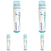Boiron Causticum 6ch,Homeopathic medicine. Each tube contains 4 g (approximately 80 pellets) (Pack of 5)
