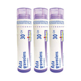 Boiron Ruta graveolens 30CH, homeopathic medicine 3 count