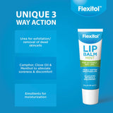 Flexitol Lip Balm – Mint – Best for Dry and Chapped, Moisturiser & Protection, Top Treatment (10g)