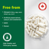 Organika Green Tea Extract 60 Vcaps
