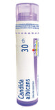 Boiron Candida albicans 30ch,Homeopathic medicine. Each tube contains 4 g (approximately 80 pellets)