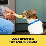 TEMPTATIONS Creamy Puree Cat Treats, Chicken, Lickable Cat Treat, Smooth & Creamy, Healthy, Made with Real Meat, Single-Serve, 44 Servings 2g Each (11 Packs of 4 Pouches)