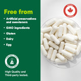 Organika Canadian-Made L-Glutamine - High-Absorption Formula - For Better Immune Defense, Muscle Recovery and Gut Health | 500mg 120vcaps