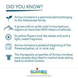 Boiron Arnica montana 30ch Homeopathic Medicine, 3 Tubes (4g Each Tube)