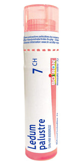 Boiron Ledum palustre 7ch,Homeopathic medicine. Each tube contains 4 g (approximately 80 pellets)
