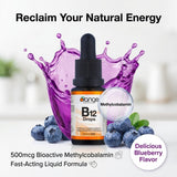 Orange Naturals Vitamin B-12 Liquid Drops, 15 ml, 300-Day Supply, Methylcobalamin 500mcg – Tasty Blueberry Flavor, Promotes Daily Vitality and Wellness – Vegan, Non-GMO, Made in Canada, Easy-to-Use