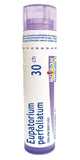 Boiron Eupatorium perfoliatum 30ch,Homeopathic medicine. Each tube contains 4 g (approximately 80 pellets)
