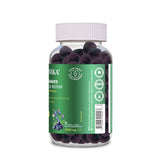 Organika Reishi Mushroom Gummies– Adaptogen for Stress, Immunity & Energy Support | Antioxidant & Liver Health Support | Vegan Mushroom Supplement for Daily Balance |Blueberry Flavour- 60 gummies