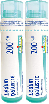 Boiron Ledum palustre 200ch,Homeopathic medicine. Each tube contains 4 g (approximately 80 pellets) (Pack of 2)