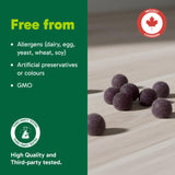 Organika Reishi Mushroom Gummies– Adaptogen for Stress, Immunity & Energy Support | Antioxidant & Liver Health Support | Vegan Mushroom Supplement for Daily Balance |Blueberry Flavour- 60 gummies