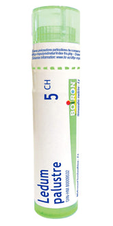 Boiron Ledum palustre 5ch,Homeopathic medicine. Each tube contains 4 g (approximately 80 pellets)