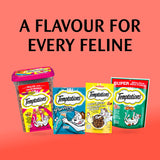 TEMPTATIONS Meaty Bites Cat Treats Adult, Salmon Flavour, 42.5g Pouch (7 Pack)