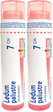 Boiron Ledum palustre 7ch,Homeopathic medicine. Each tube contains 4 g (approximately 80 pellets) (Pack of 2)