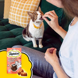 TEMPTATIONS Meaty Bites Cat Treats Adult, Salmon Flavour, 42.5g Pouch (7 Pack)