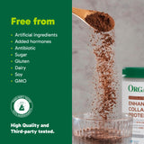 Organika Canadian-Made Chocolate Enhanced Collagen Powder, Grass-Fed with Real Cocoa, Sugar-Free, Healthy Hair, Skin, Nails, Joints, 252 G