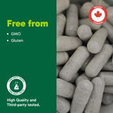 Organika Garcinia Plus 90 Caps