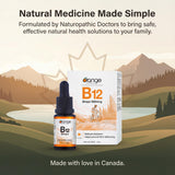 Orange Naturals Vitamin B-12 Liquid Drops, 15 ml, 300-Day Supply, Methylcobalamin 500mcg – Tasty Blueberry Flavor, Promotes Daily Vitality and Wellness – Vegan, Non-GMO, Made in Canada, Easy-to-Use