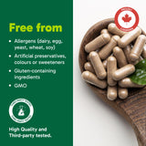 Organika Wormwood 5000mg (50:1 Extract) – Traditional Chinese Medicine Herbal Parasite Cleanse Support- Aids Digestive Balance, Immune Health & Natural Detox – 60vcaps