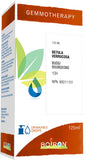 Boiron Gemmotherapy Betula verrucosa buds (silver birch) 1dh, homeopathic medicine. Format: 125 mL