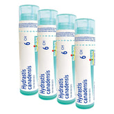 Boiron Hydrastis canadensis 6ch,Homeopathic medicine. Each tube contains 4 g (approximately 80 pellets) (Pack of 4)
