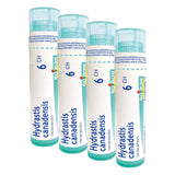Boiron Hydrastis canadensis 6ch,Homeopathic medicine. Each tube contains 4 g (approximately 80 pellets) (Pack of 4)