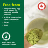 Organika Enhanced Collagen Vitality with Organic Matcha Powder- Sustained Energy and Antioxidant Collagen- 250g