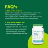 Organika Canadian-Made Marine Collagen Capsules - Salmon Collagen- Skin, Hair, and Nail Support - Premium Sourcing - 90 caps