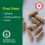 Organika Canadian-Made Absolute Iron - Iron Bisglycinate- High Availability, Gentle on Stomach, Boost Iron Levels- Beneficial for Women and Vegetarians- 120vcaps