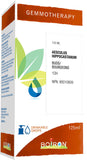 Boiron Gemmotherapy Aesculus hippocastanum buds (horse chestnut) 1dh, homeopathic medicine. Format: 125 mL