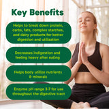 Organika Full Spectrum Plant Enzymes- Helps Break Down Carbs, Fat, Protein, Dairy- 60 vcaps
