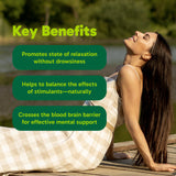 Organika Canadian-Made L-Theanine Bonus Size 225mg-Relaxation Promotion Without Drowsiness, Stress Support, Pure Natural Source, Fast Acting- 110caps