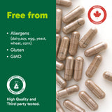 Organika Canadian-Made Chanca Piedra 500 mg - UTI Support | Kidney, Gallblader and Urinary Support, Cleansing- 90 vcaps