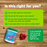 Organika Canadian-Made Electrolytes Powder with Vitamin C & Prebiotic Fibre - Sugar-Free Hydration Drink Mix - Wild Raspberry - 350 g - 100 servings