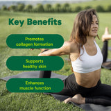 Organika Enhanced Collagen Vitality with Organic Matcha Powder- Sustained Energy and Antioxidant Collagen- 250g