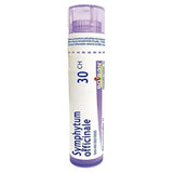 Boiron Symphytum officinale 30ch,Homeopathic medicine. Each tube contains 4 g (approximately 80 pellets)