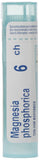 Boiron Magnesia phosphorica 6ch,Homeopathic medicine. Each tube contains 4 g (approximately 80 pellets)