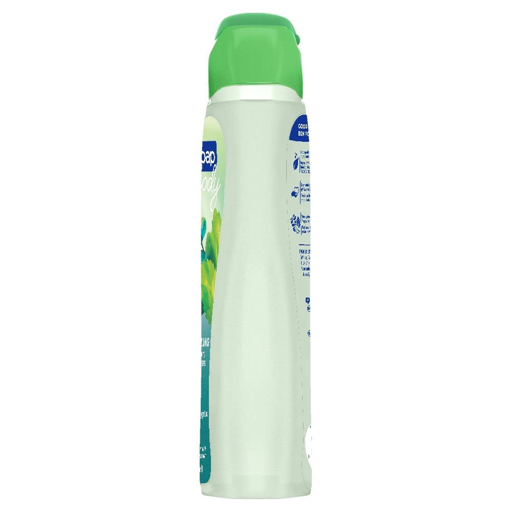 Softsoap Eucalyptus & Mint, Moisturizing Body Wash, 591 ml