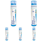 Boiron Kalium phosphoricum 9ch,Homeopathic medicine. Each tube contains 4 g (approximately 80 pellets) (Pack of 5)