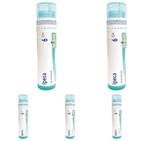 Boiron Ipeca 6ch,Homeopathic medicine. Each tube contains 4 g (approximately 80 pellets) (Pack of 5)