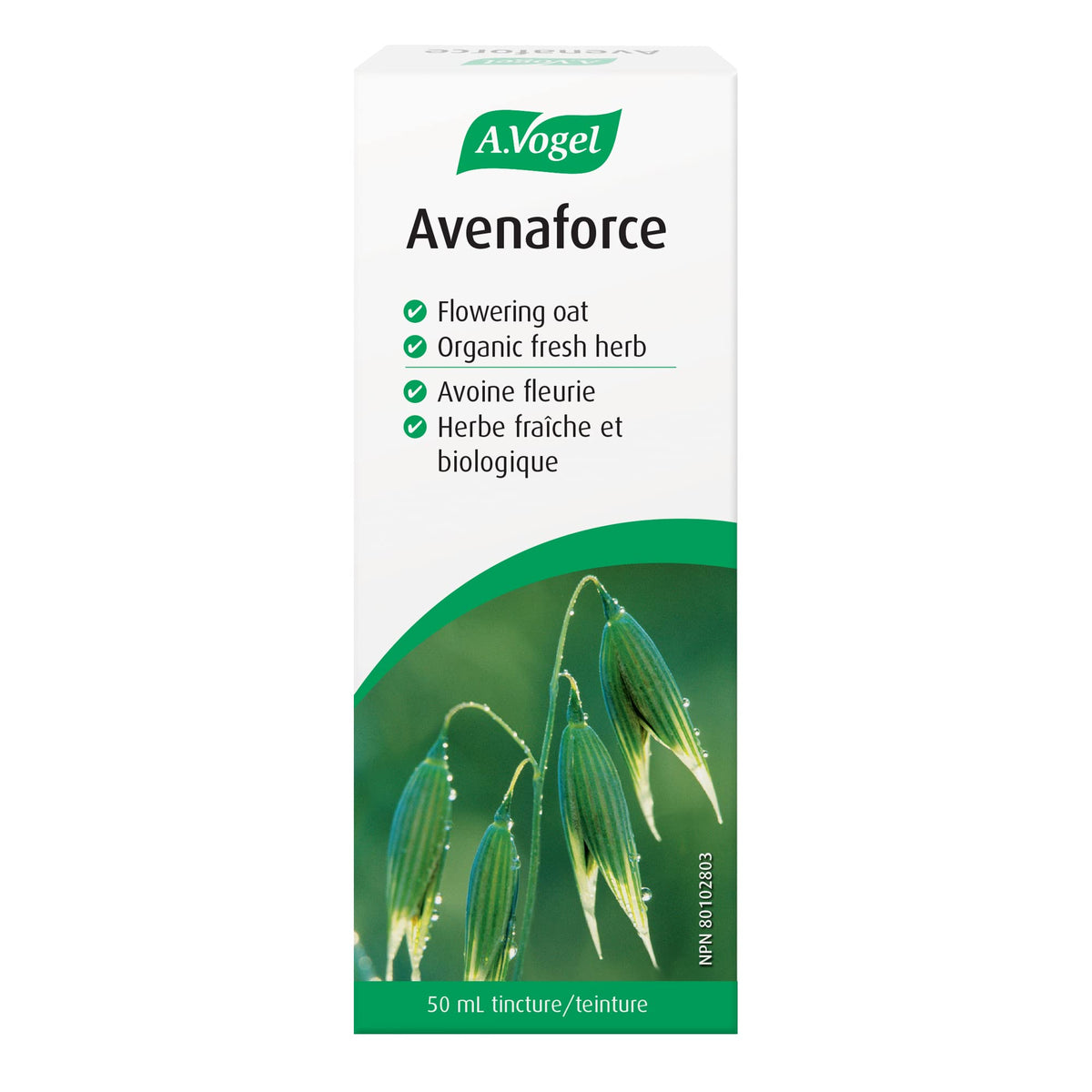 A.Vogel Avenaforce Fresh Avena Sativa Antioxidant Extract – High-Potency Antioxidant Supplement with 783 mg Fresh Oat Herb per ml – Sugar-Free, Gluten-Free, Lactose-Free, Supports Oxidative Damage Defense – 50ml