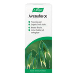 A.Vogel Avenaforce Fresh Avena Sativa Antioxidant Extract – High-Potency Antioxidant Supplement with 783 mg Fresh Oat Herb per ml – Sugar-Free, Gluten-Free, Lactose-Free, Supports Oxidative Damage Defense – 50ml