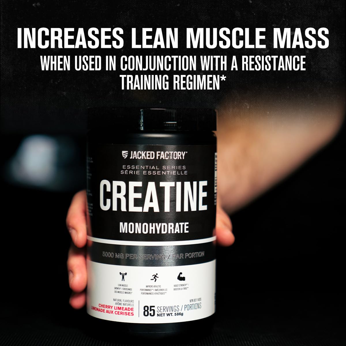 Jacked Factory Creatine Monohydrate Powder 586.5g - Canadian-Owned Informed Choice Certified Supplement for Increased Muscle Mass, Improved Strength, and Performance* - 85 Servings, Cherry Limeade