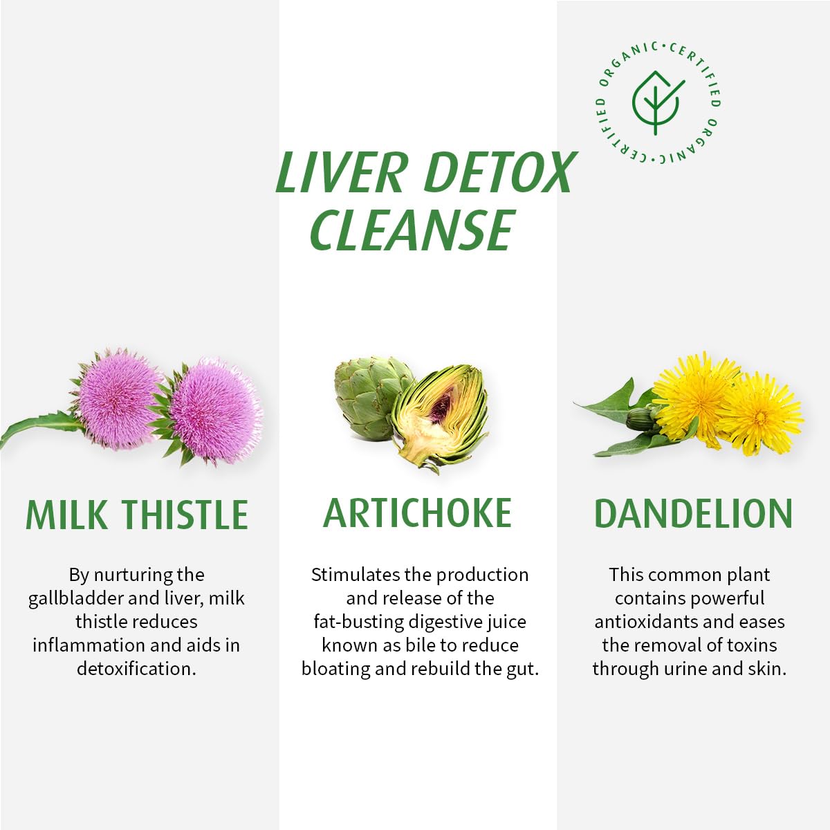 A.Vogel Boldocynara Liver Detox Cleanse - Digestion Supplement for Liver Health - Supports Fat Digestion - Milk Thistle, Boldo & Dandelion Root Formula - 50 Ml