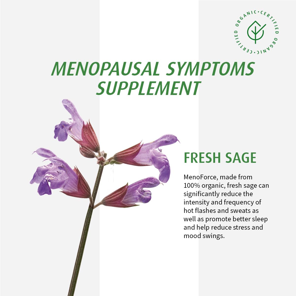 A.Vogel Menoforce - Clinically Proven Menopause Relief for Hot Flashes, Night Sweats & Mental Exhaustion - 1-A-Day Sage Tablets, Vegan, Sugar-Free & Gluten-Free, 30 Tablets