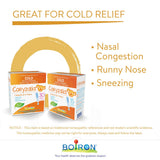 Boiron Coryzalia, 30 Doses. Baby Cold Relief Drops for Sneezing, Runny Nose, and Nasal Congestion, Non-drowsy, Sterile Single-use Liquid Oral Doses, 30 Count (Pack of 1)