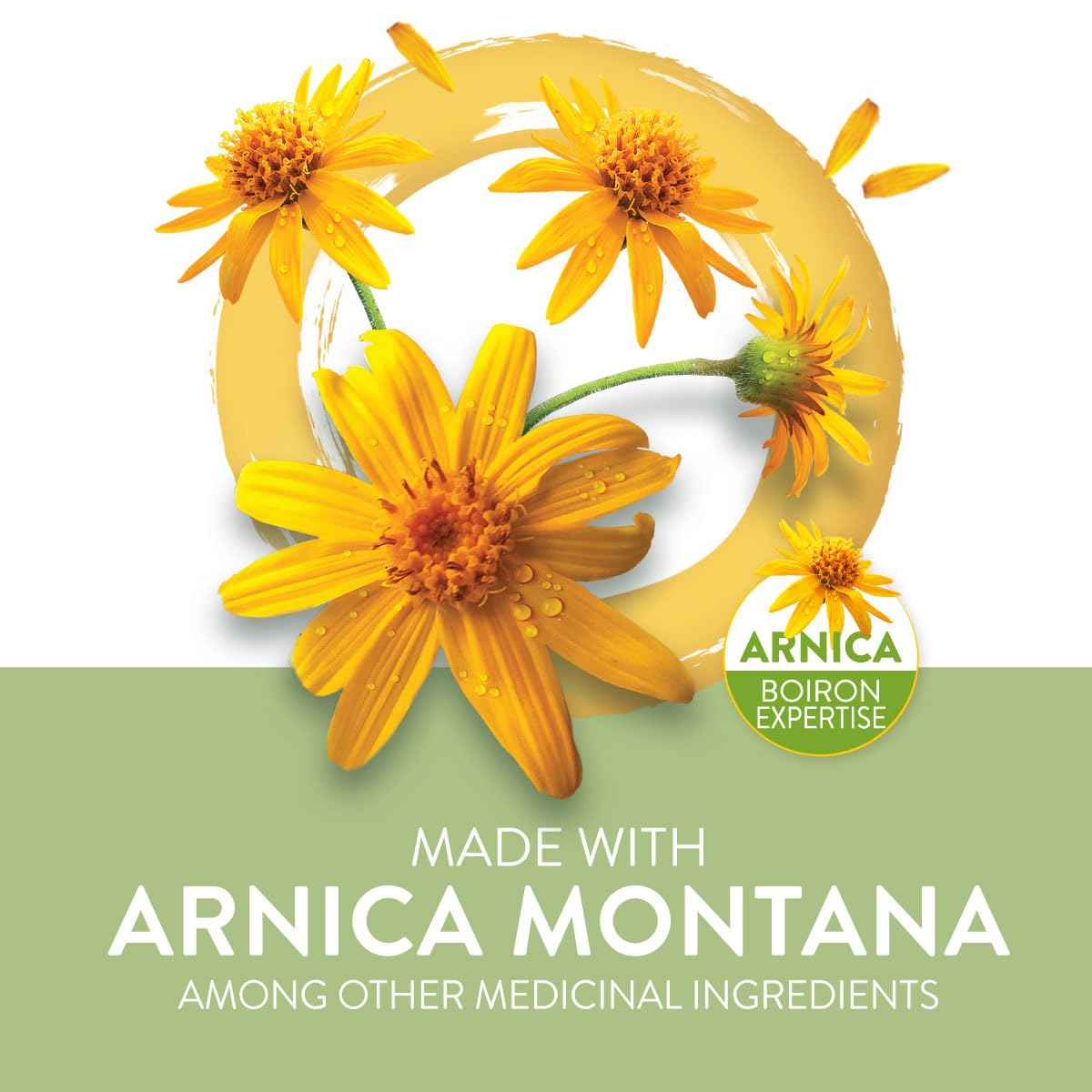 Boiron Arnicare Cream for Pain Relief, Muscle Pain and Joint Pain Relief, Swelling from injuries, Bruise & Bruising, from Natural Sourced Plants Including Arnica Montana, 70g