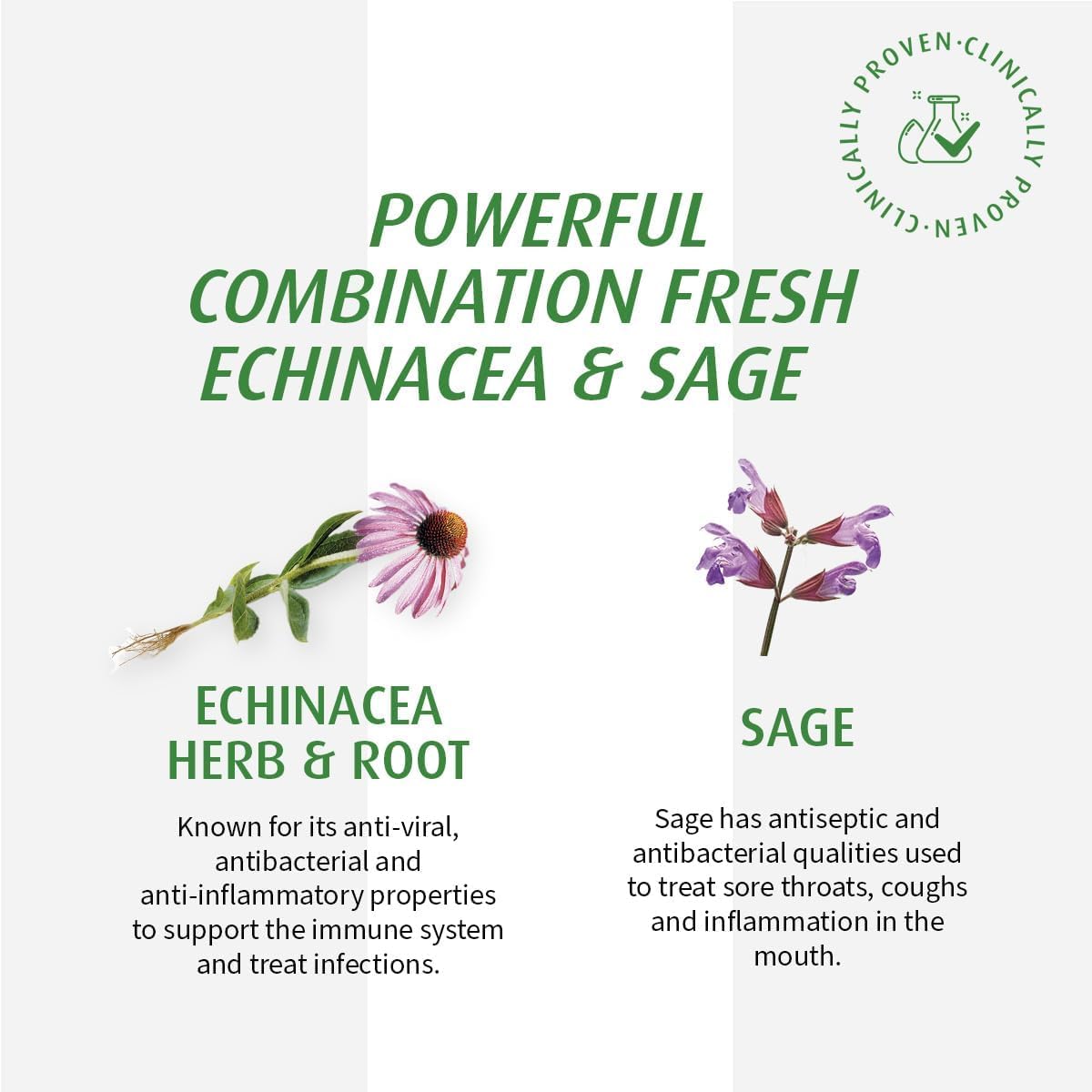 (2 Pack) A.Vogel Echinaforce Sore Throat Spray Fast Acting Relief - Clinically Proven Treatment for Pharyngitis, Tonsillitis, Soreness and Hoarseness - Organically Grown Echinacea Purpurea - Vegan - 60mL